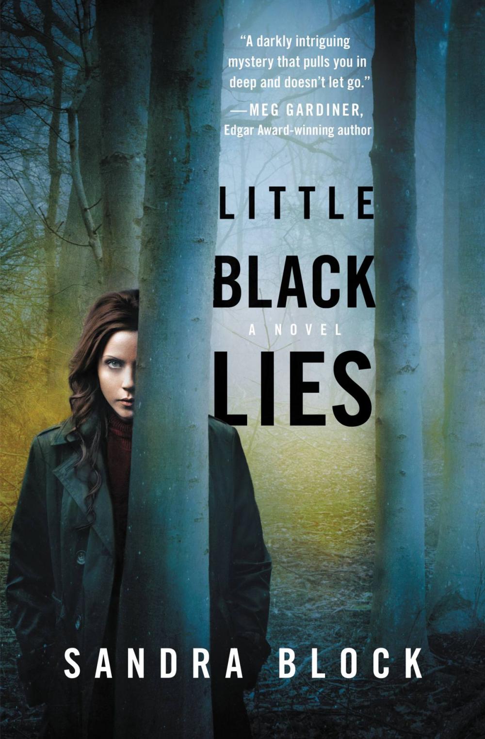 Big bigCover of Little Black Lies