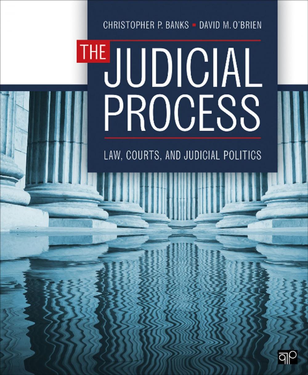 Big bigCover of The Judicial Process