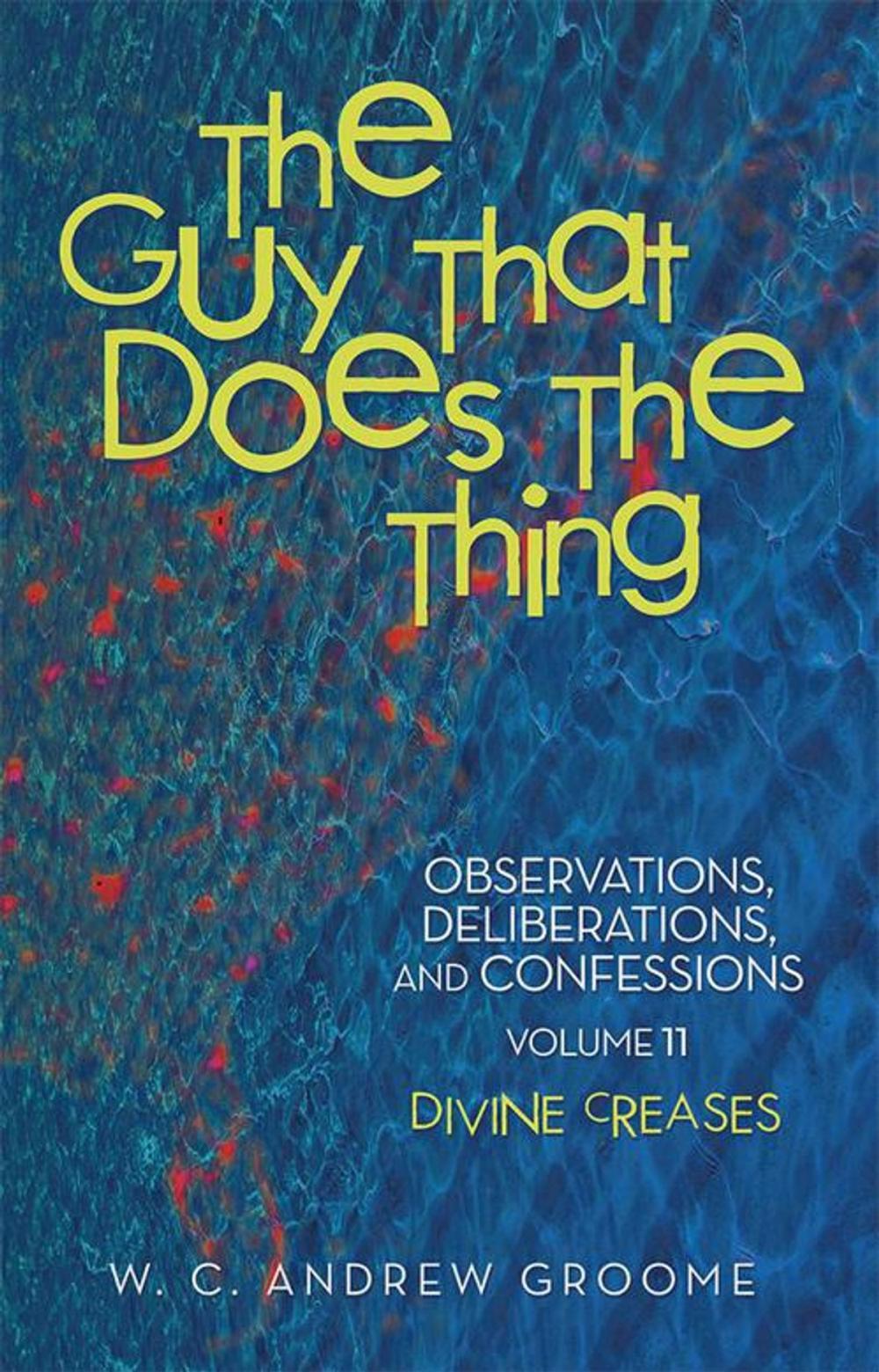Big bigCover of The Guy That Does the Thing—Observations, Deliberations, and Confessions, Volume 11