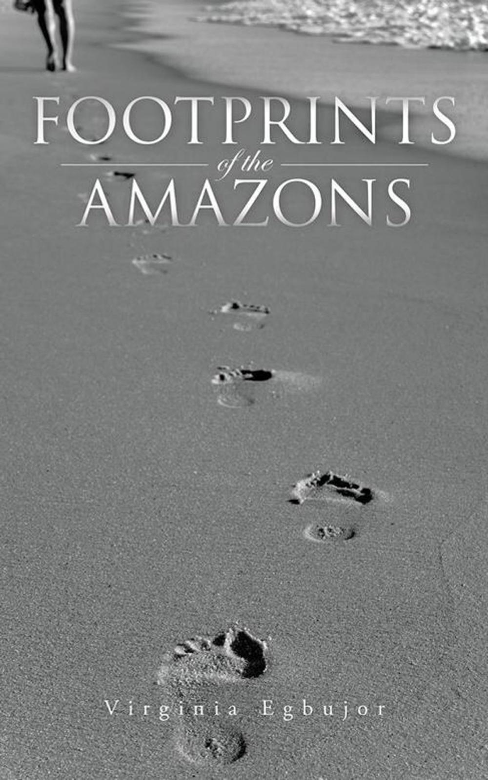 Big bigCover of Footprints of the Amazons