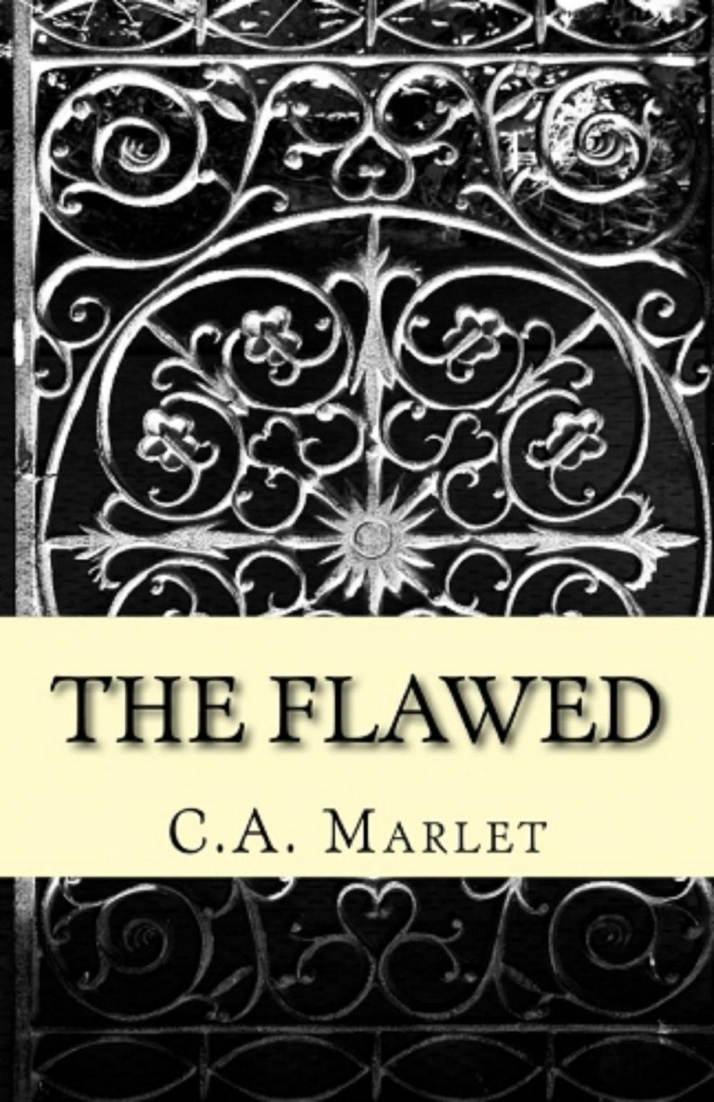 Big bigCover of The Flawed