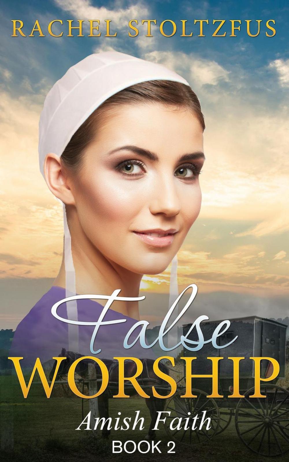 Big bigCover of Amish Home: False Worship - Book 2