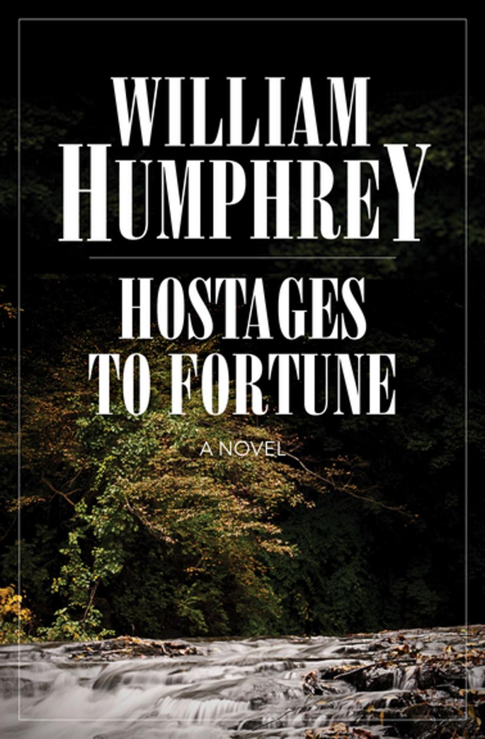 Big bigCover of Hostages to Fortune