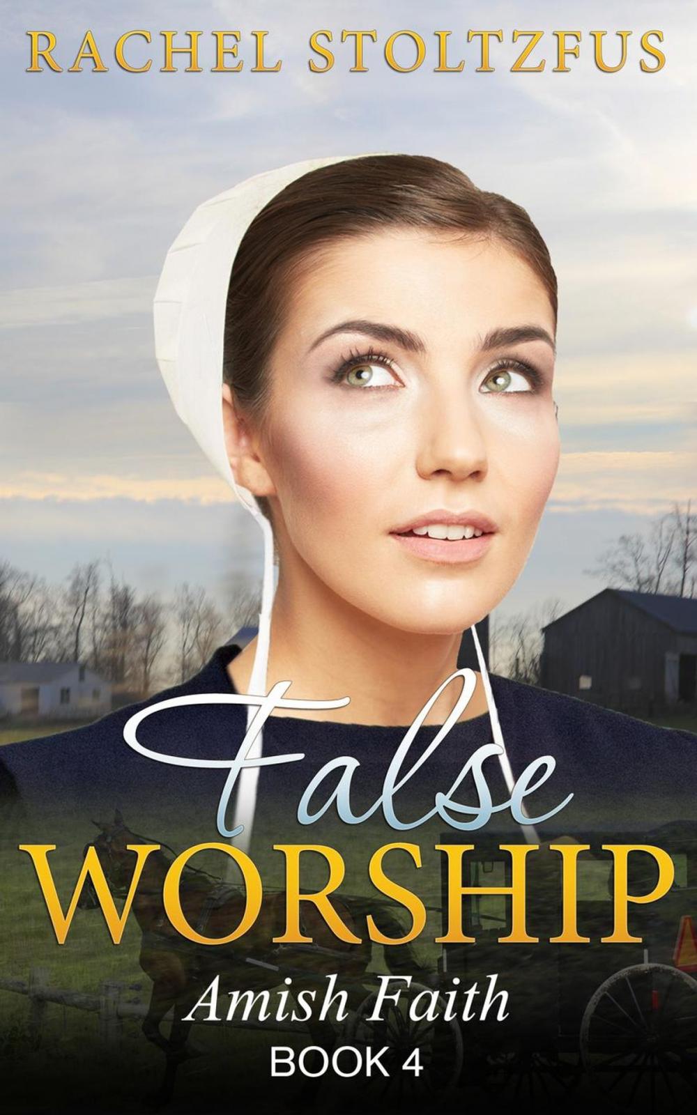 Big bigCover of Amish Home: False Worship - Book 4