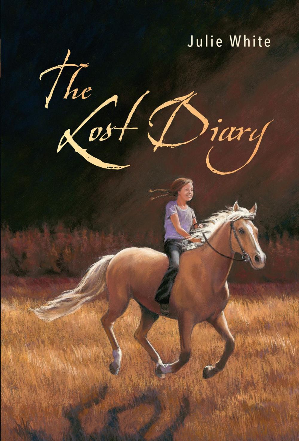 Big bigCover of The Lost Diary