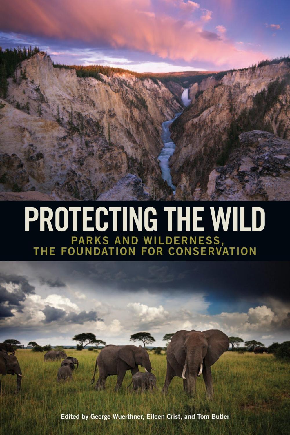 Big bigCover of Protecting the Wild