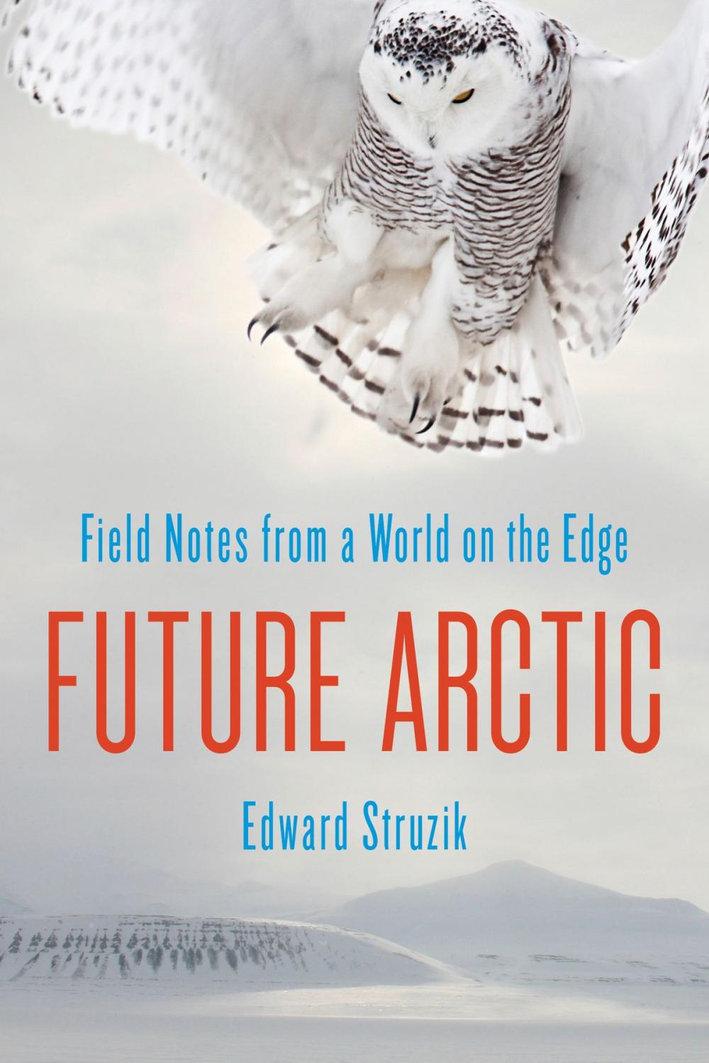 Big bigCover of Future Arctic