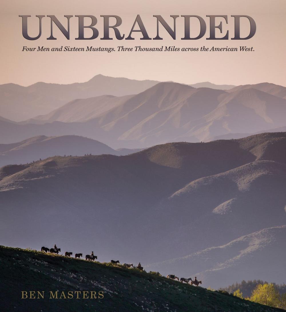 Big bigCover of Unbranded