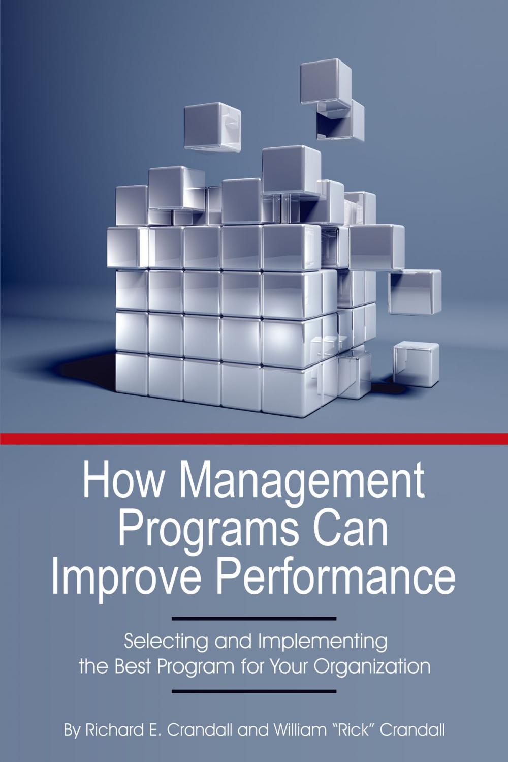 Big bigCover of How Management Programs Can Improve Organization Performance