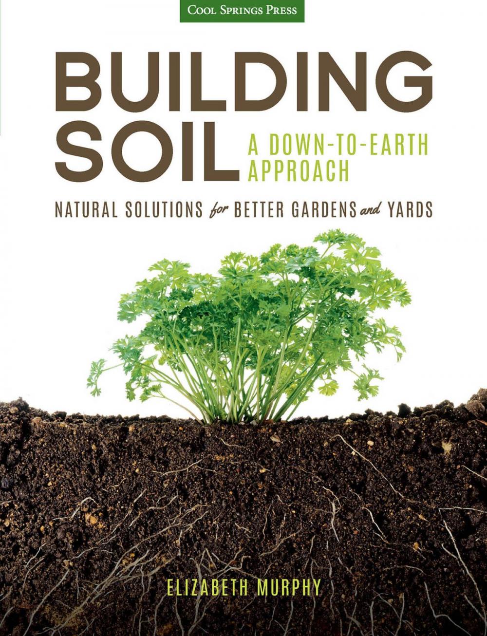 Big bigCover of Building Soil: A Down-to-Earth Approach