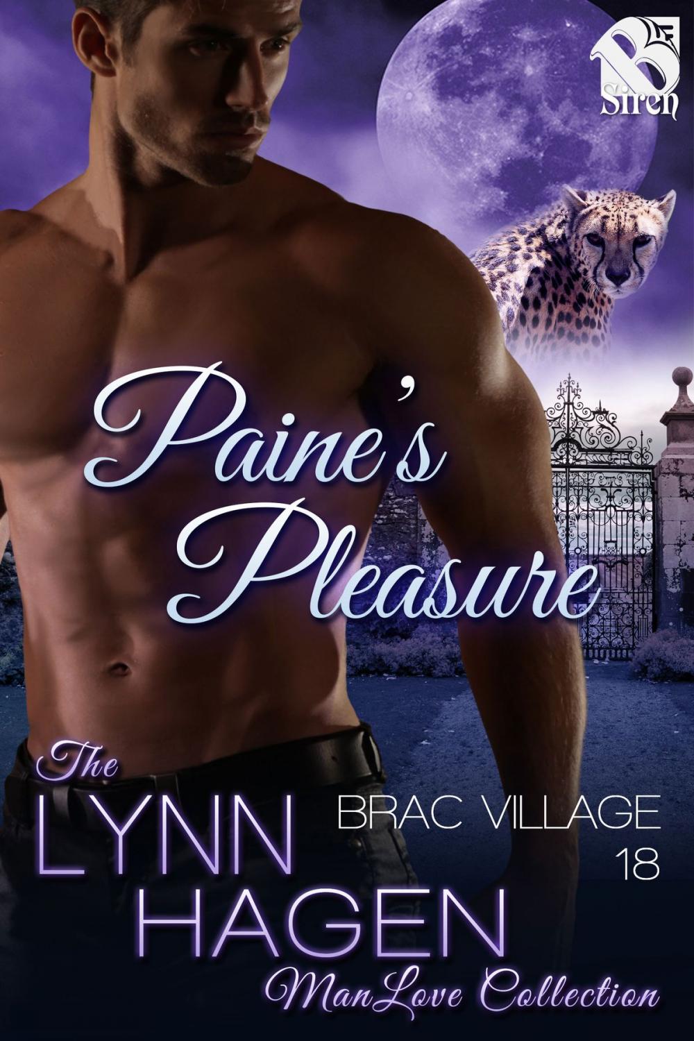 Big bigCover of Paine's Pleasure