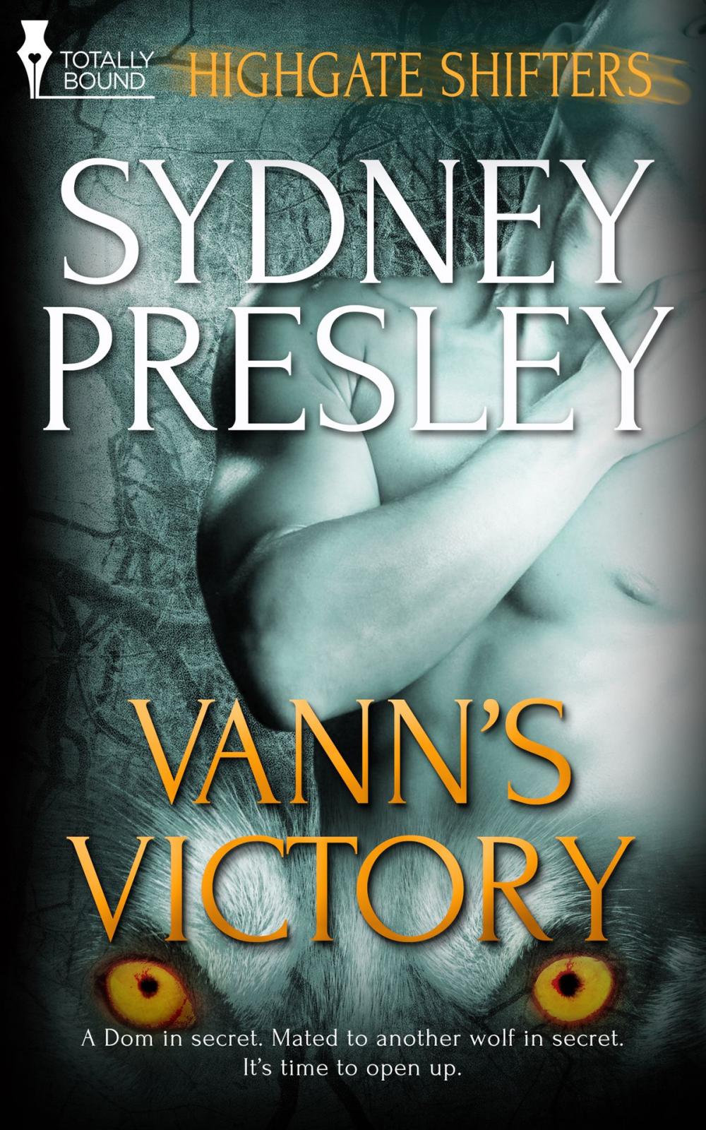 Big bigCover of Vann’s Victory
