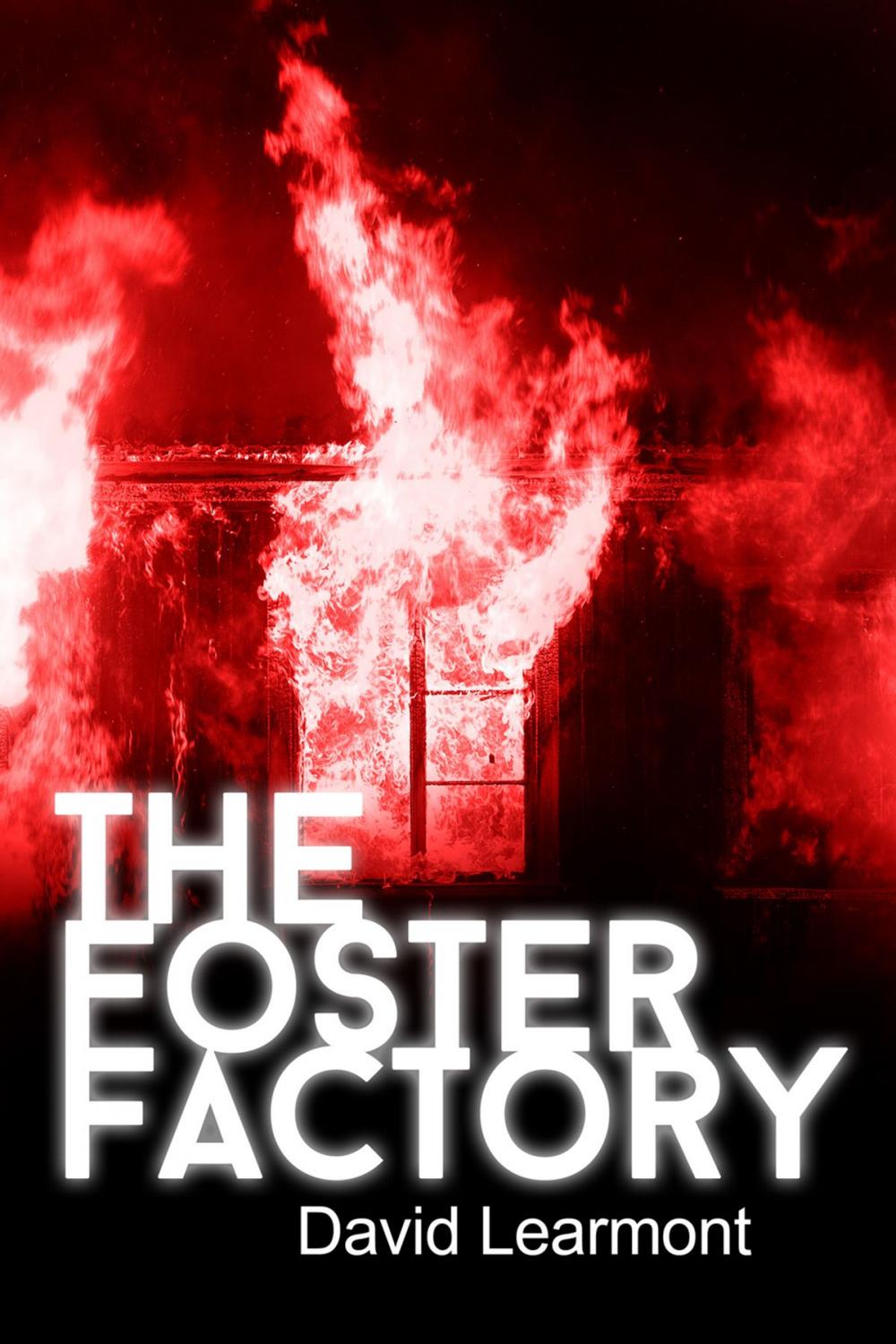 Big bigCover of The Foster Factory