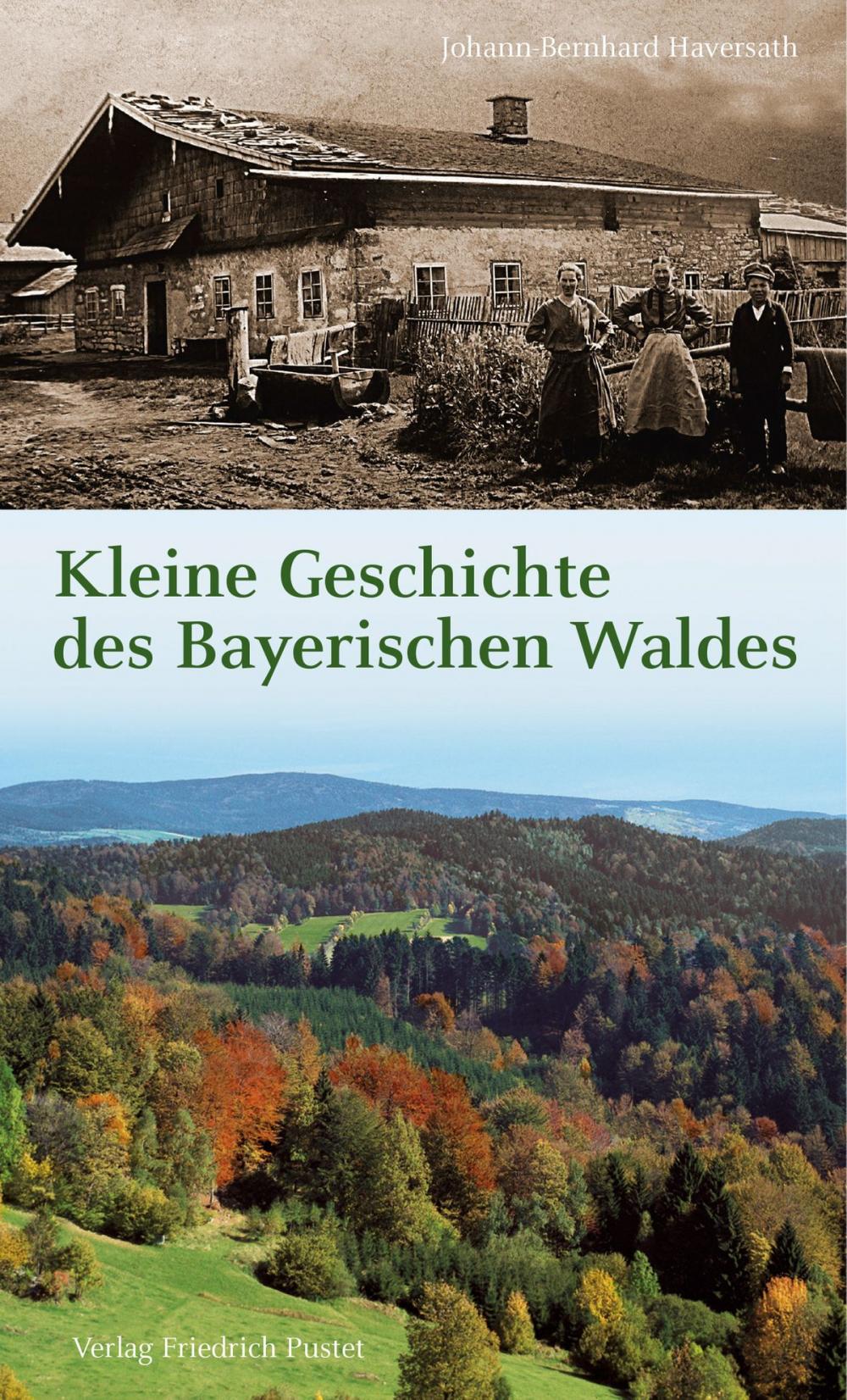 Big bigCover of Kleine Geschichte des Bayerischen Waldes