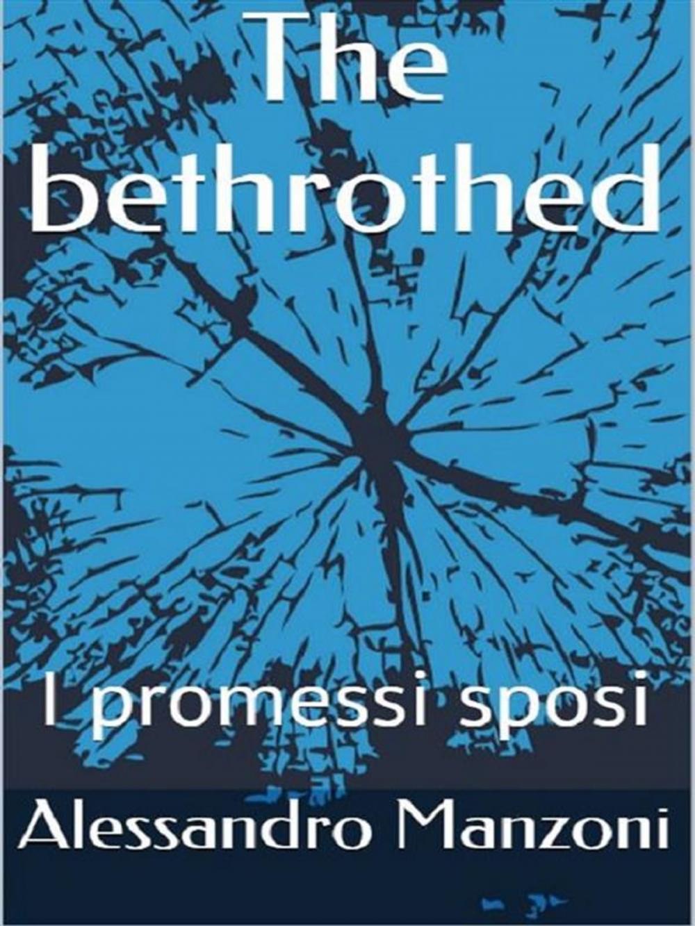 Big bigCover of The bethrothed