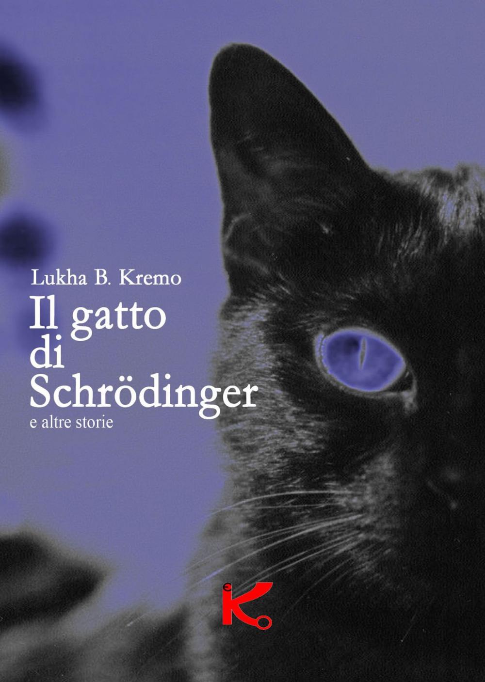 Big bigCover of Il gatto di Schrödinger