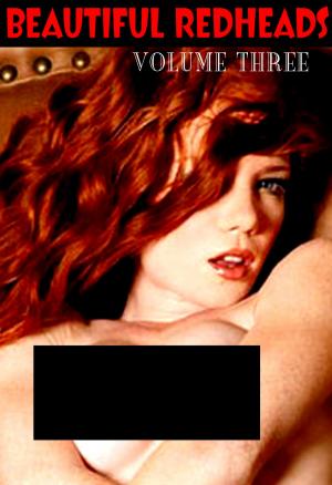 Cover of the book Beautiful Redheads Volume 3 by Illyana Moskowicz