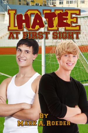 Cover of the book Hate At First Sight by Terri Cabral