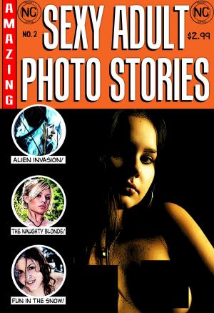 Cover of Sexy Adult Photo Stories #2 - An erotic comic book