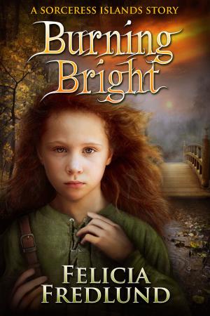 Cover of the book Burning Bright by Ann Herendeen