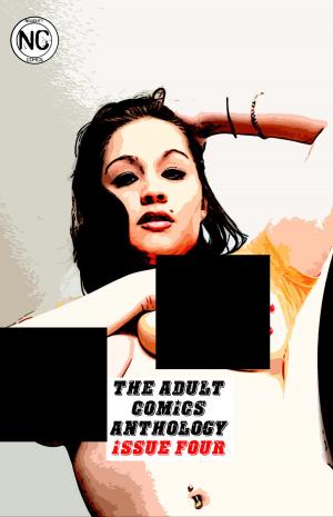 Cover of The Adult Comics Anthology #4 - An erotic comic book