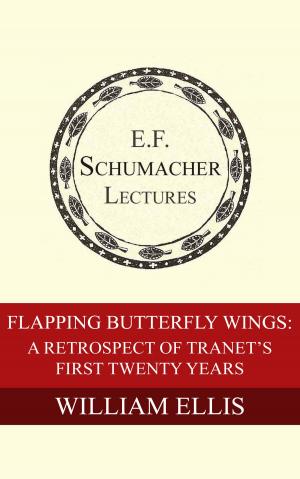 Cover of the book Flapping Butterfly Wings: A Retrospect of TRANET's First Twenty Years by Nancy Jack Todd, Hildegarde Hannum