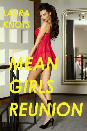 Cover of the book Mean Girls Reunion by J.D. Killi