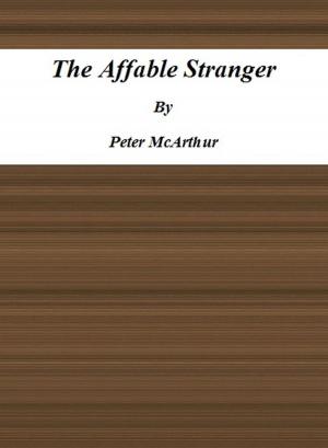 Cover of the book The Affable Stranger by Eugène-Napoléon Beyens