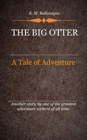 Book cover of The Big Otter