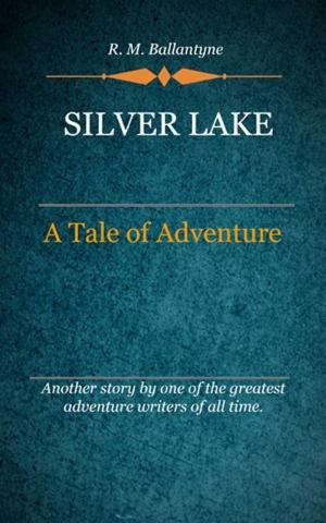 Cover of the book Silver Lake by Janet Edwards
