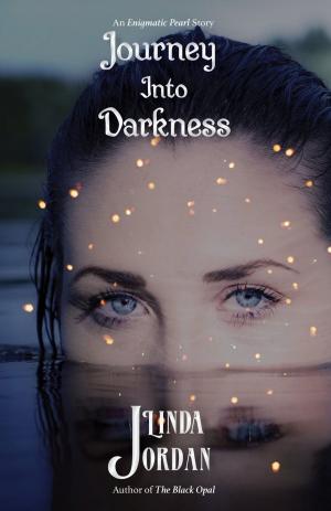 Cover of the book Journey Into Darkness by Linda Jordan