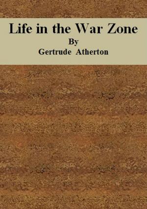 Book cover of Life in the War Zone