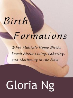 Book cover of Birth Formations