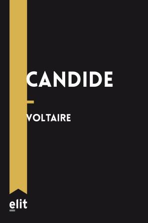 Cover of the book Candide by Stendhal