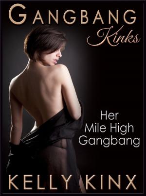 Cover of the book Her Mile High Gangbang by Annett Lesall