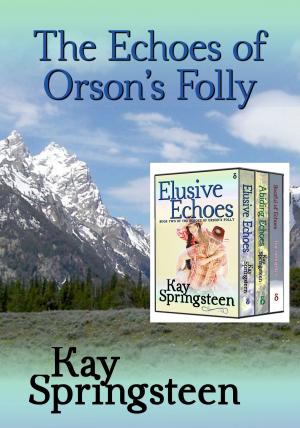 Cover of the book The Echoes of Orson's Folly by A.E. Via, Francesca Giraudo
