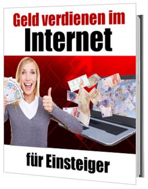 Cover of the book Geld verdienen im Internet für Einsteiger by Terri Kolpertos