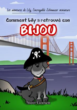 Cover of the book Comment Lily a retrouvé son bijou by Crystal Swain-Bates
