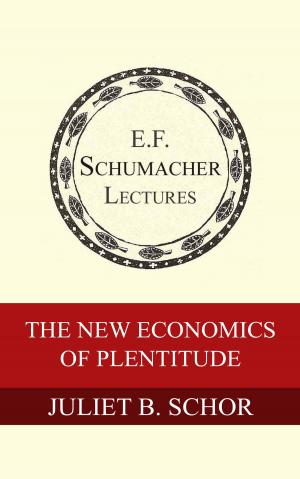 Book cover of The New Economics of Plentitude