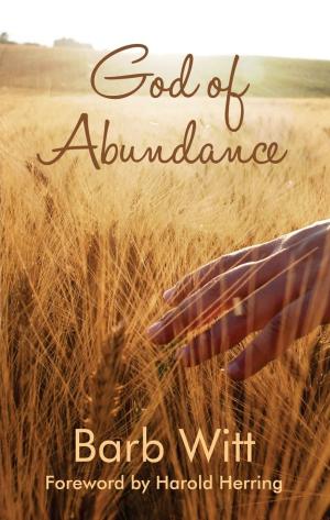 Cover of the book God of Abundance by Rachel Lancashire