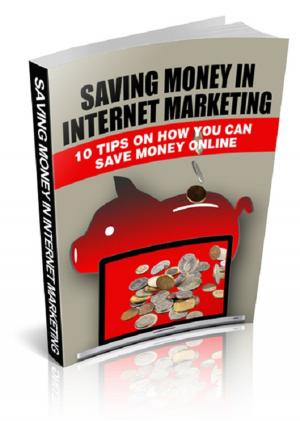 Cover of the book Saving Money In Internet Marketing by Lutz Kreutzer