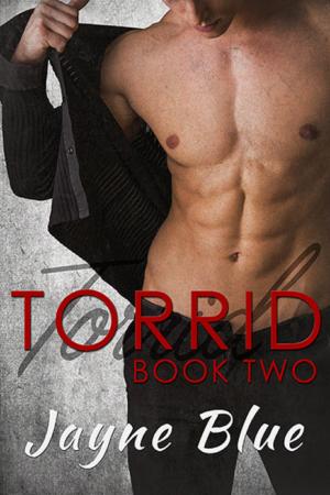 Cover of the book Torrid - Book Two by Susan Johnson, Tracey Cramer-Kelly, Edna Curry, Patricia M. Jackson, DIane Pearson, Laura Ashwood, Angie Wilder, Nancy Pirri
