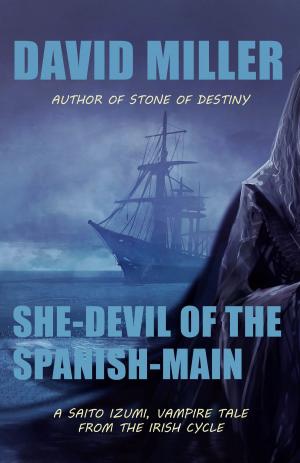 bigCover of the book She-Devil of the Spanish Main by 