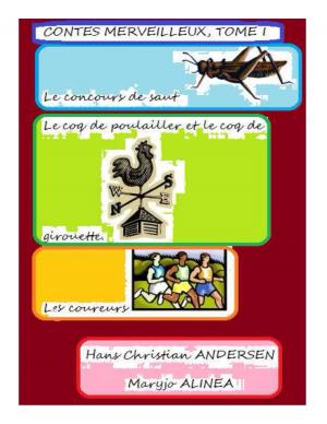 bigCover of the book CONTES MERVEILLEUX (13) by 