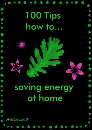 Cover of the book 100 Tips how to... saving energy at home by Tom Schnellhardt
