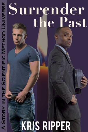 Cover of the book Surrender the Past by Katherine MK Mitchell