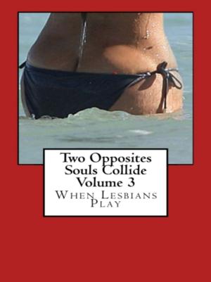 Book cover of Two Opposites Souls Collide Volume 3