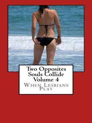 Book cover of Two Opposites Souls Collide Volume 4