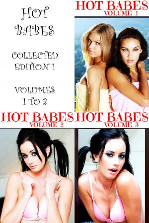 Cover of Hot Babes Collected Edition 1 - Volumes 1 to 3 - A sexy photo book!