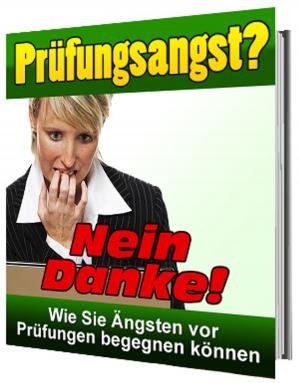 Cover of the book Prüfungsangst? Nein Danke! by Helmut Gredofski